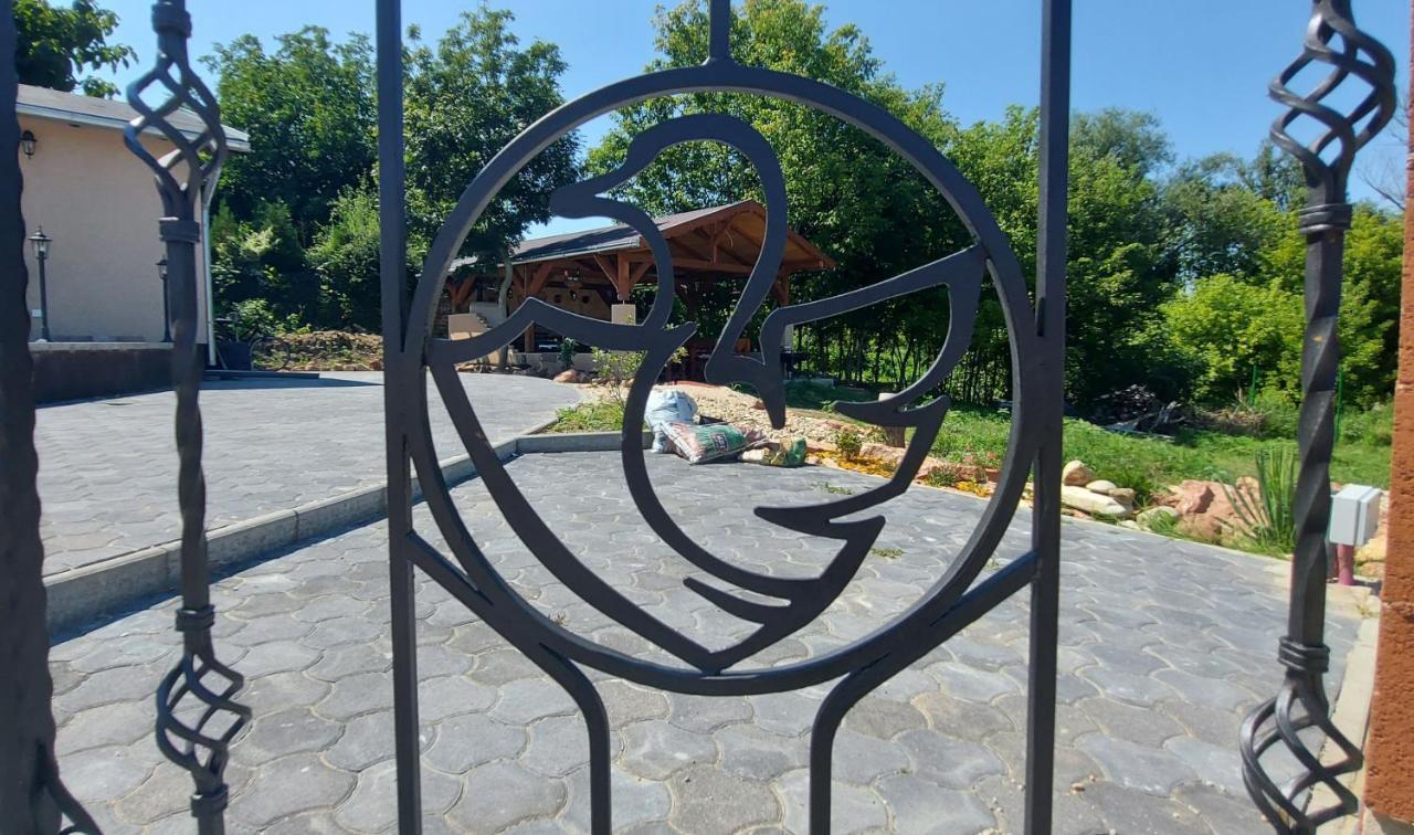 Villa Verteskacsa Vertesacsa Экстерьер фото