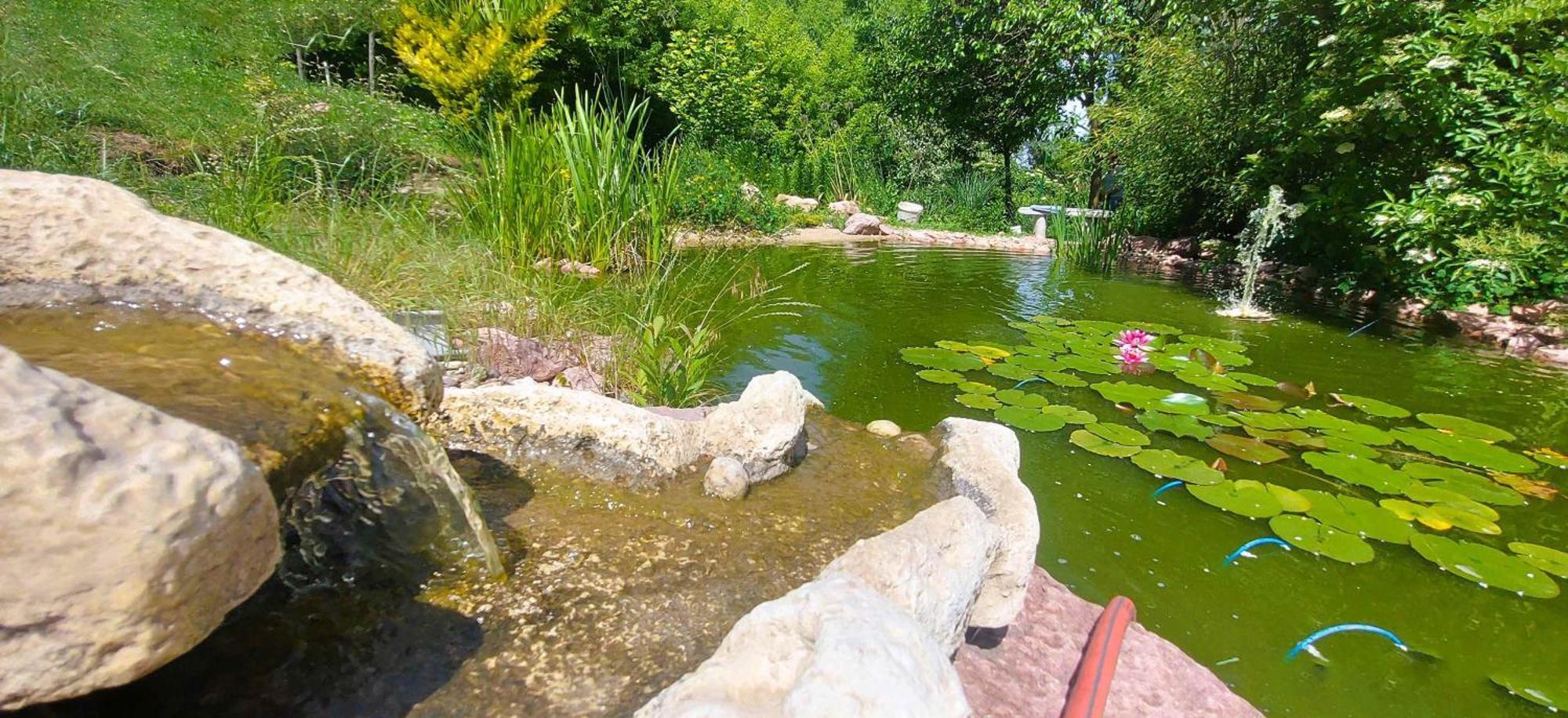 Villa Verteskacsa Vertesacsa Экстерьер фото